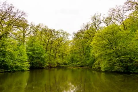 View of a lake with reflection of trees Stock Photos