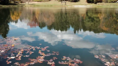 View of Lake Reflection in Water Stock Footage 219499281