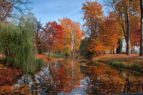 View on lake reflections of fall foliage Stockfoto's