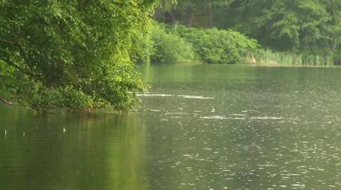 A view of a lake shore Stock Footage 10790171