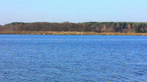 The view from the lake shore Stock Footage 123411734