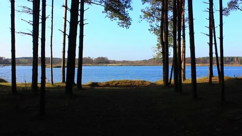 The view from the lake shore Stock Footage 123411749
