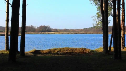 The view from the lake shore Stock Footage 123411756