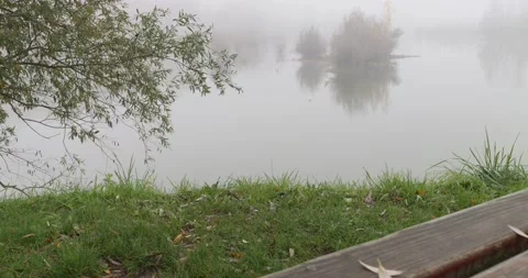 View of the lake shore over an empty wooden bench on a misty day Stock-Footage 220599072
