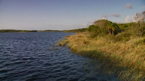 View of lake shoreline Stock Footage 60690881
