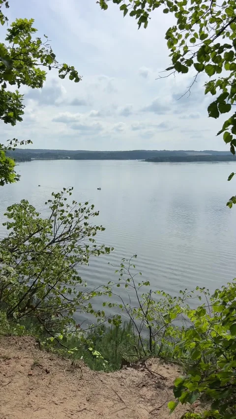 A view of lake side with calm water and green trees during day time. Stock Footage 314766496