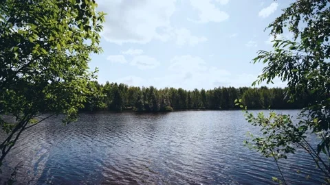 View of the lake in summer through a window of trees Stock Footage 158862832