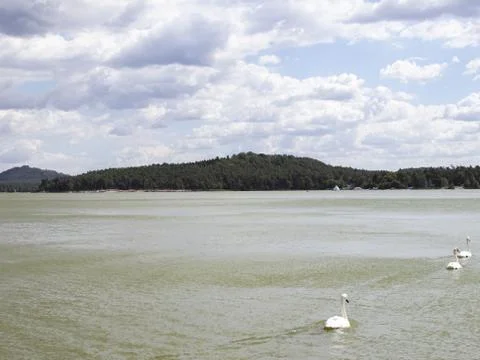 View of the lake surface, hills, clouds in windy weather with three swans Stock Photos