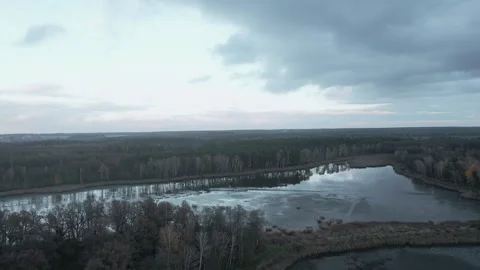 View of the lake surrounded by forest Stock Footage 297564049