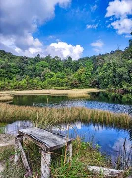 View of a lake surrounded by green trees and grass under a blue sky with wh.. Stock Photos