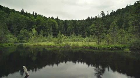 View of the lake surrounded by mountains and forest in the rain Stock Footage 161483147