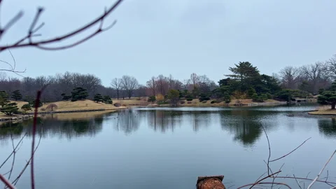 View of a lake surrounded by trees and land in a park during a cloudy day Stock Footage 331306167