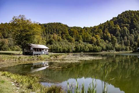 A view of a lake surrounded by trees and rich vegetation under the clear sky Stock Photos