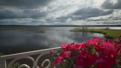 View of the lake through the flowers Stock Footage 285742577