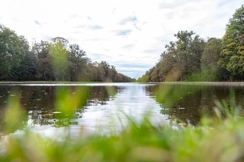 View of the lake through the grass Stock Photos