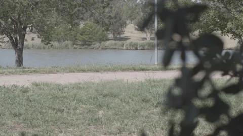 View of lake through tree Stock Footage 138543084