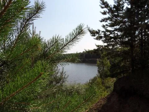 View of lake through trees with forest behind Stock Photos