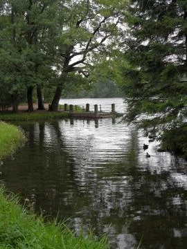 View of lake through trees with steps to water on the embankment on cloudy da Stock Photos