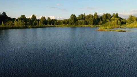 View of lake with trees and plants on horizon Video stock 117296100