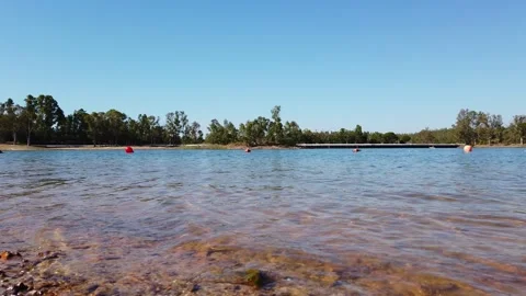 View from a lake with with trees in background Video stock 134977552