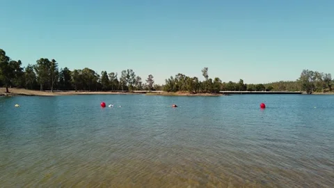 View from a lake with with trees in background Video stock 134977571