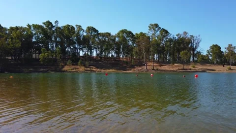 View from a lake with with trees in background Stock Footage 134977584