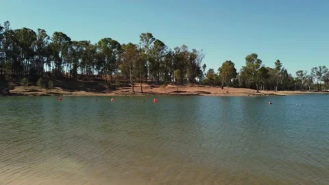 View from a lake with with trees in background Video stock 134977626