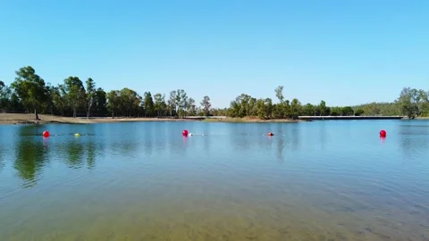 View from a lake with with trees in background Video stock 134977645