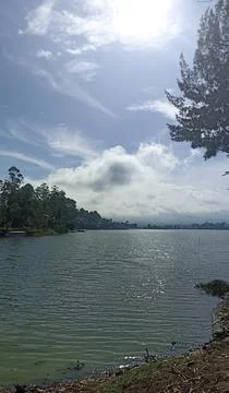 View of a lake, trees by its side, beautiful blue sky and white clouds during th Stock Photos
