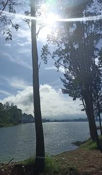 View of a lake, trees by its side, beautiful blue sky and white clouds during th Stock Photos