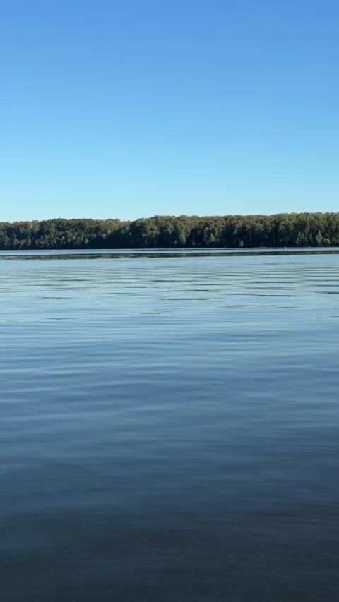 View on lake with waves at sunny summer day. Calm sunlight at background Stock Footage 317986444