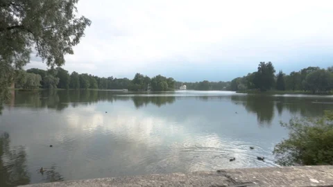 View of the lake in which ducks swim Vidéo 108306342