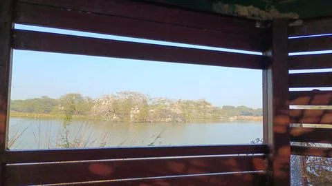 View of the lake from a window with trees in the lake having migrated birds Stock Photos