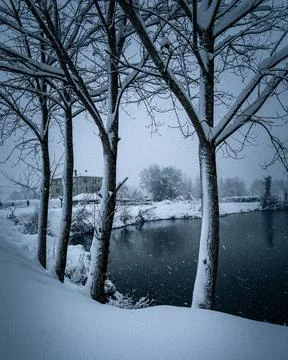 The view of the lake in winter Stock Photos