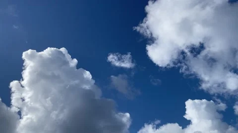 View from the land to the sky to flying plane. Slow motion. Stock Footage 166397769