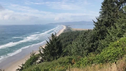 A view of a landscape with bushes 動画素材 155586169