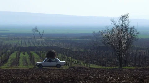 View of landscape with car Stock Footage 61715630