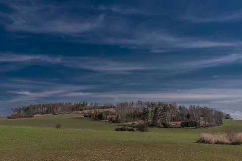 View for landscape with cut down forests after bark beetle Stock Photos