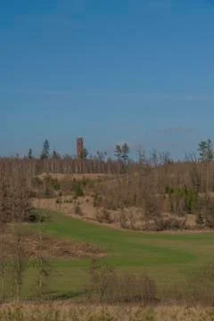 View for landscape with cut down forests after bark beetle and lookout tower Stock Photos