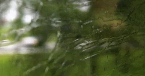 View of the landscape during a downpour outside the window while driving a b Stock Footage 338270717