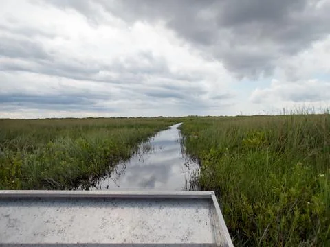 View of landscape in the Everglades Stock Photos