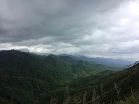 View landscape in the forest mountain Stock Photos