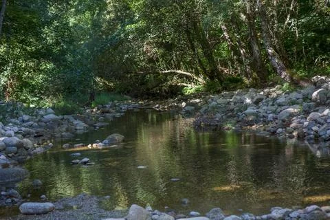 View of a landscape with river and forest trees on the banks Stock Photos