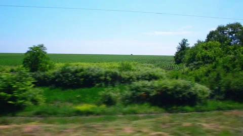 View of the landscape in the summer field 動画素材 51726209