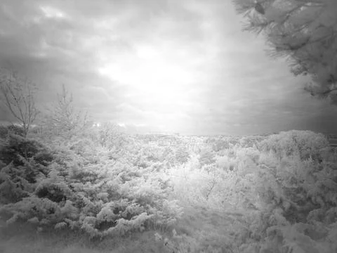 View of a landscape with trees and clouds during a cloudy day near the horizo Stock Photos