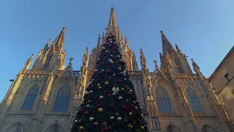 View of the large Christmas tree in front of the Cathedral of Barcelona Stock Footage 328529435