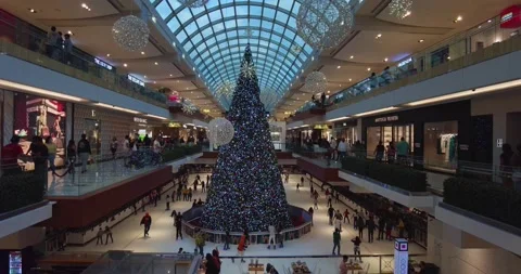 View of large Christmas tree in mall filled with shoppers for Holiday season Stock Footage 165199488