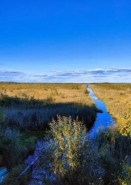 View of a large crayfish lake. State Natural Reserve Cancer Lakes , St. Peter Stock Photos