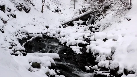 View of a large drinking water source in the Vrátna dolina. Stock Footage 83106064