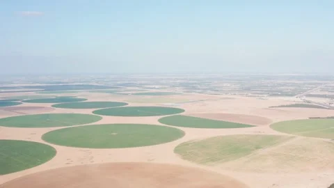 A view from a large field height in the form of a circle in Egypt. Growing and Stock Footage 145518597